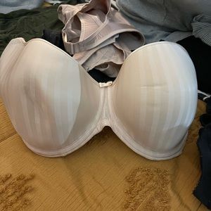 Women’ Bras